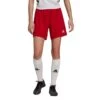 Adidas - Entrada 22 Shorts Women - Football Shorts -Shirts Aktivkleider Geschaft adidas hi0002